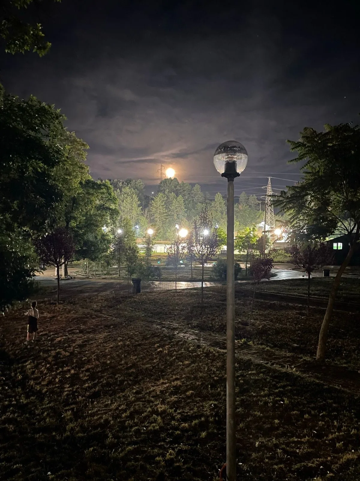Moonlit park with a lamppost during a late training run